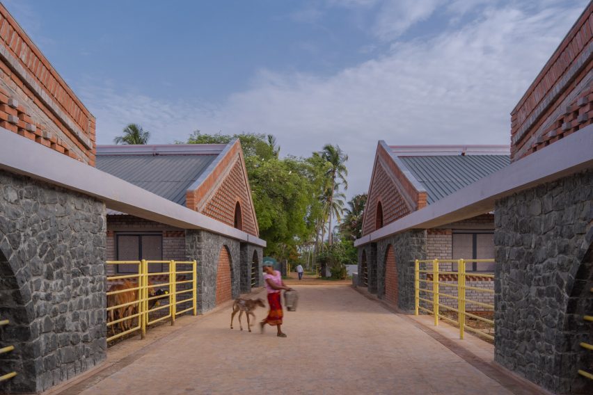 Cow shed by Compartment S4