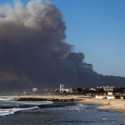 wildfire